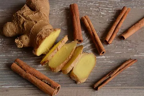 émincés de gingembre et cannelle en bâtons émincés de gingembre et cannelle en bâtons