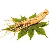 Le Ginseng pour une peau rajeunie