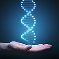 ADN bleu au dessus d'une main - Génétique facteur influençant la taille des seins des femmes - Comment se développent les seins - ShytoBuy France