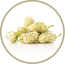 organiclarine ingredient makari