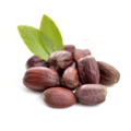 Huile de graine de jojoba Huile de graine de jojoba