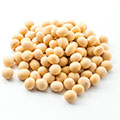 Les isoflavones de soja Les isoflavones de soja