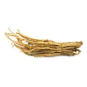 Ginseng américain