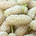 ingradients-ico-lotionmakari-1 ingradients-ico-lotionmakari-1