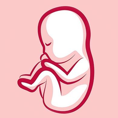 Comment se forme un bébé ?