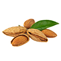 Almond Oil Almond Oil