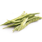 Guar Gum Guar Gum
