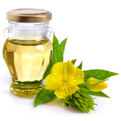 Evening Primrose Oil Evening Primrose Oil