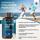 Collagène marin pur à haute biodisponibilité