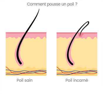 Les meilleurs produits du marché