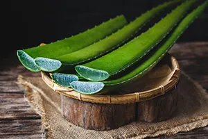 Pourquoi l’Aloe Vera ?