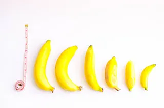 Banane de différentes tailles alignés pour symboliser les différentes tailles de pénis
