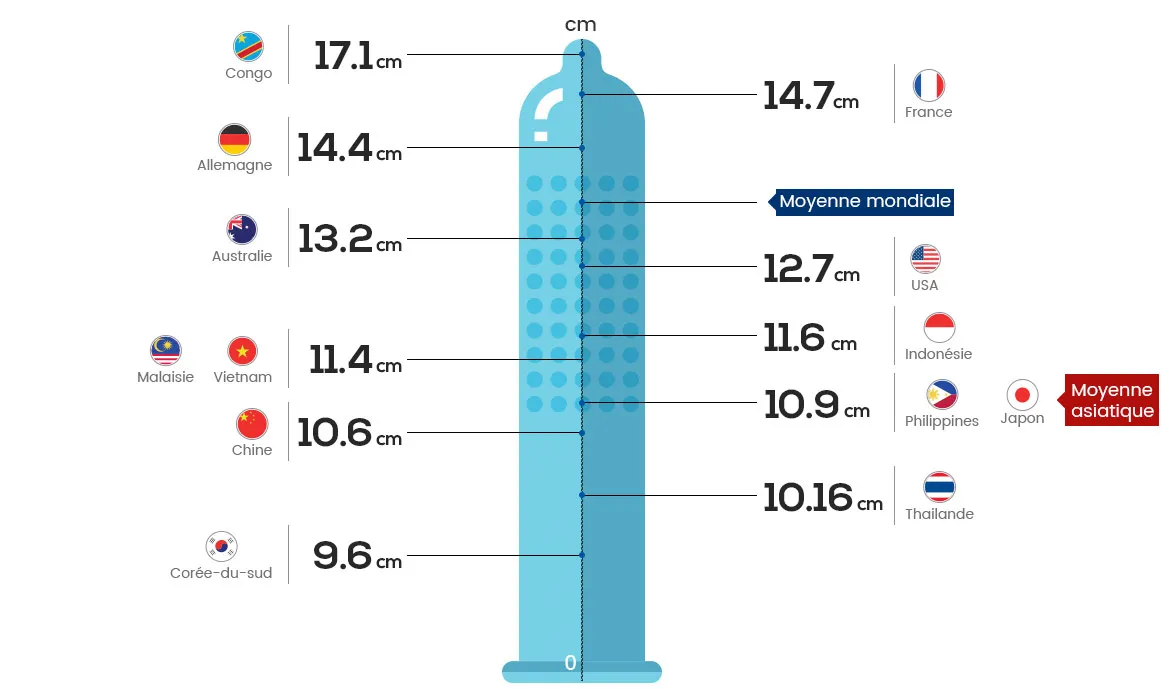 Récapitulatif des différentes tailles de pénis dans le monde