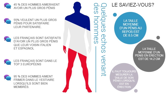 Récapitulatif de chiffres concernant les français et la taille du pénis